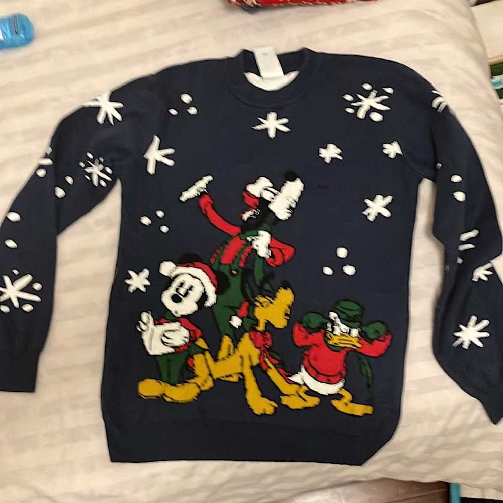 DISNEY CHRISTMAS THIS YEAR??